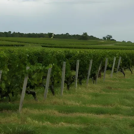 Médoc Castelnau-de-Médoc