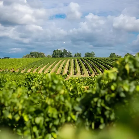 Medoc * Castelnau-de-Médoc