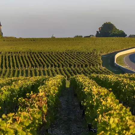 Medoc *